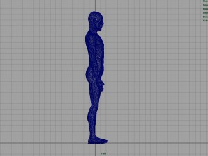 human body anatomy model Modelo 3D