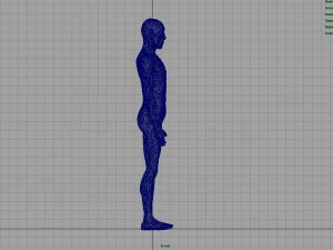 human body anatomy model 3D Model