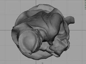 gaspar king 3D Model