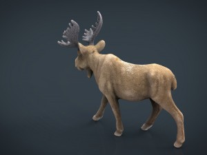 christmas elk Modello 3D