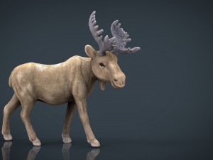christmas elk Modello 3D