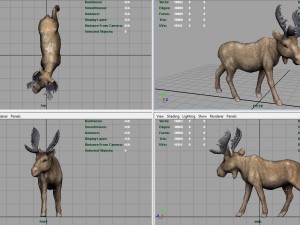 christmas elk Modello 3D