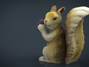 squirrel 3D Model