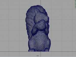 squirrel 3D Model
