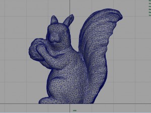 squirrel 3D Model