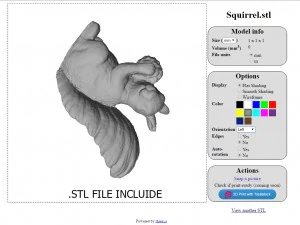 scoiattolo Modello 3D