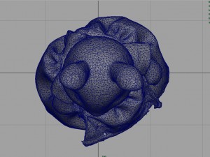rabbit mother 3D Модель