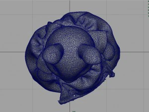 rabbit mother 3D Model