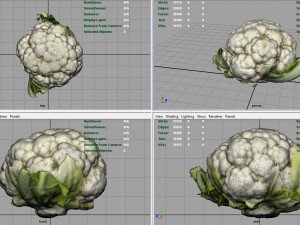 cauliflower 3D Модель