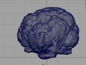 cauliflower 3D Модель
