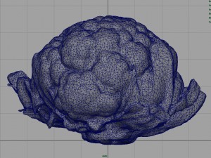 cauliflower 3D Модель