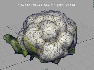 cauliflower 3D Модель