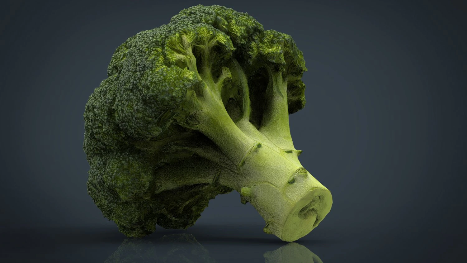 broccoli 3D Model .c4d .max .obj .3ds .fbx .stl .blend 