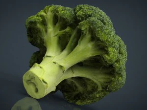 broccoli 3D Model