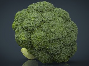 broccoli 3D Model