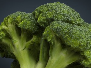 broccoli 3D Model