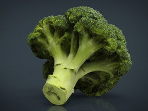 broccoli 3D Model