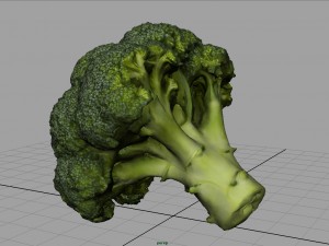 broccoli 3D Model