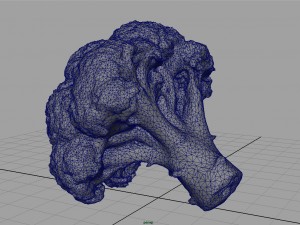 broccoli 3D Model