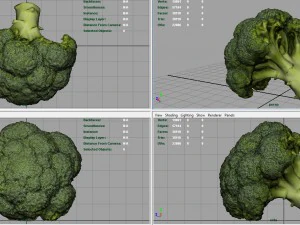 broccoli 3D Model