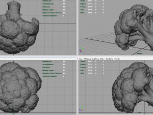 broccoli 3D Model