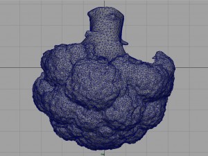 broccoli 3D Model