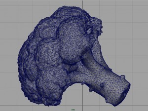 broccoli 3D Model