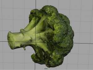 broccoli 3D Model