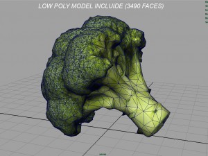 broccoli 3D Model