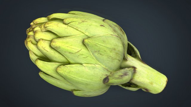 artichoke Model 3D .c4d .max .obj .3ds .fbx .stl .blend 