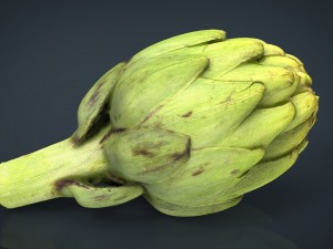 artichoke Model 3D