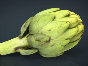 carciofo Modello 3D