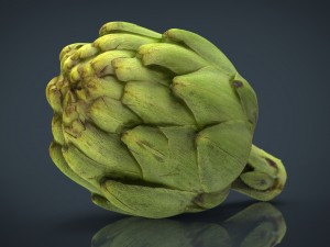 artichoke Model 3D