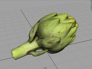 artichoke Model 3D
