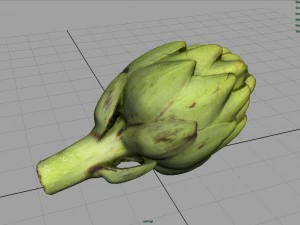carciofo Modello 3D