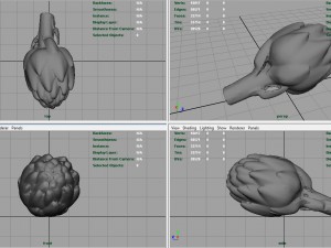 artichoke Model 3D