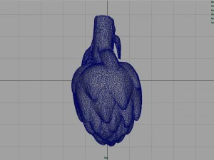 carciofo Modello 3D