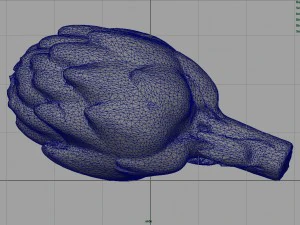 carciofo Modello 3D