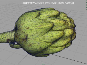artichoke Model 3D