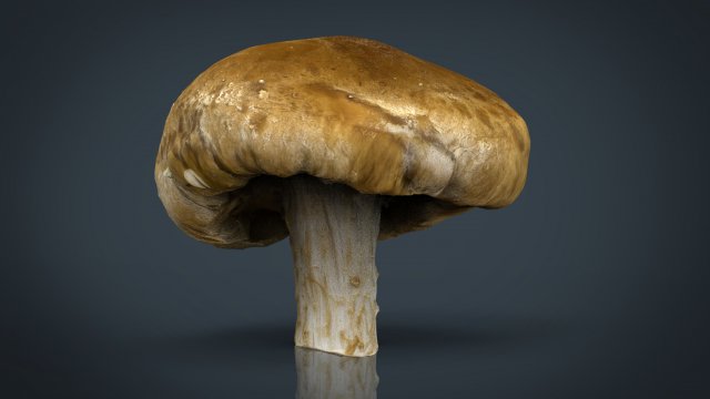 mushroom 1 Modelo 3D .c4d .max .obj .3ds .fbx .stl .blend 