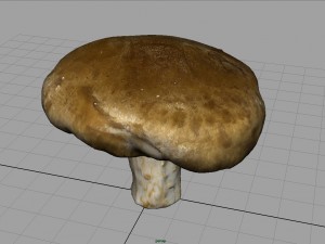 mushroom 1 Modelo 3D