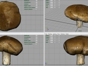 mushroom 1 Modelo 3D