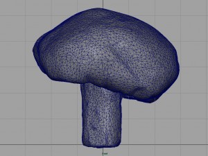 mushroom 1 Modelo 3D