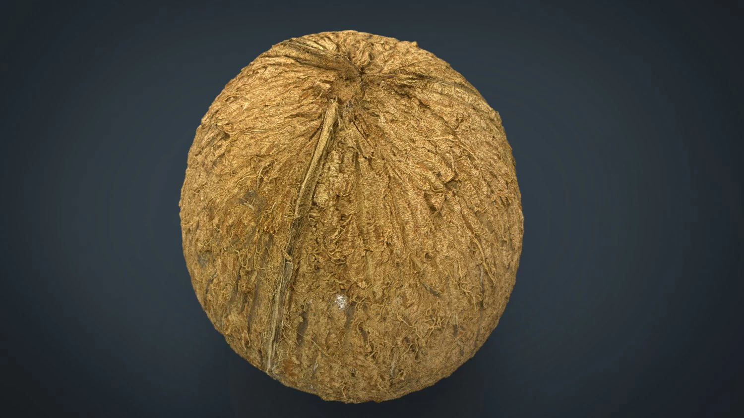 coco Modelo 3D .c4d .max .obj .3ds .fbx .stl .blend 