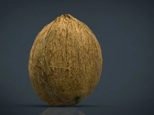 coco Modelo 3D