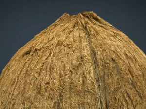 coco Modelo 3D