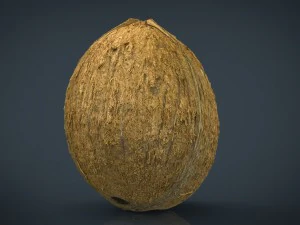 coco Modelo 3D