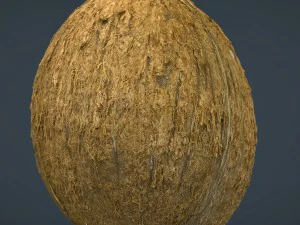 coco Modelo 3D
