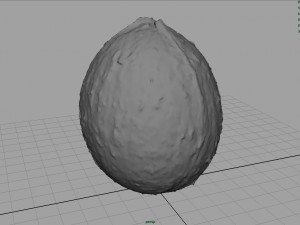 coconut Modelo 3D