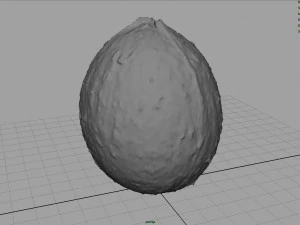 coco Modelo 3D